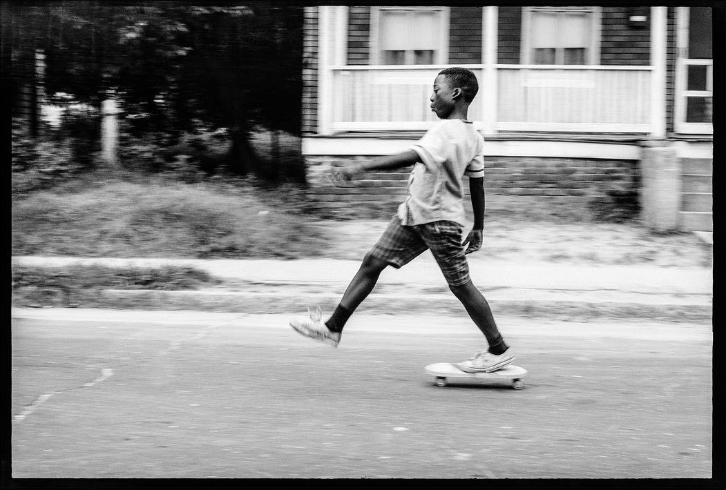 as the lights dimmed the world brightened. decapitate animals